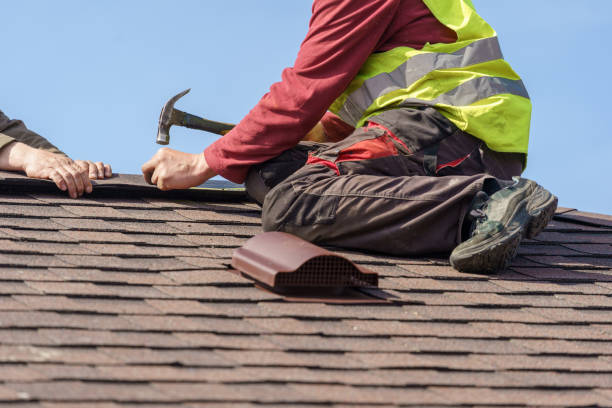 Best Roof Gutter Cleaning  in Vineyard, UT